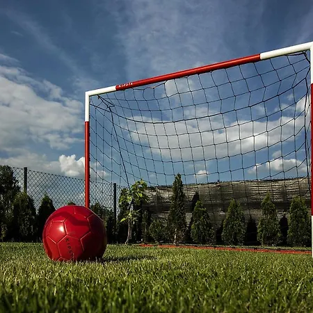 Aris Goscinne Wojnicz