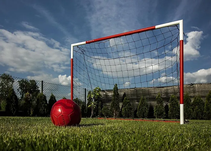 Aris Goscinne Wojnicz