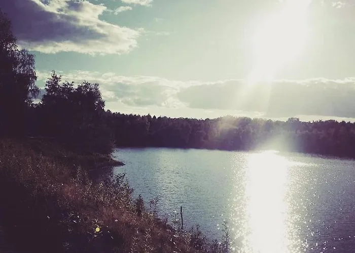 Aris Goscinne Wojnicz